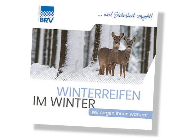 BRV Verkaufshelfer Winterreifen im Winter