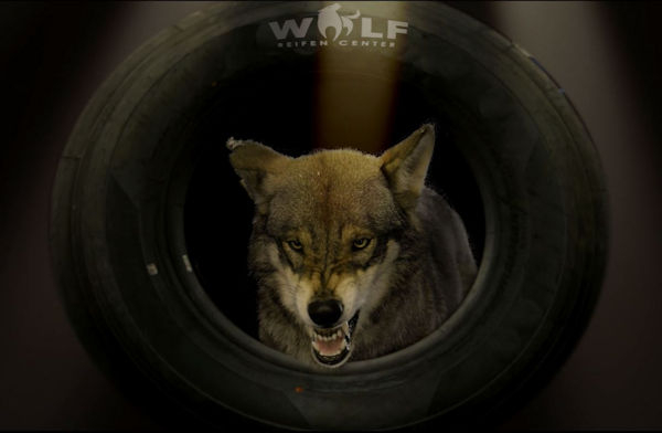 Reifen Center Wolf 2 klein