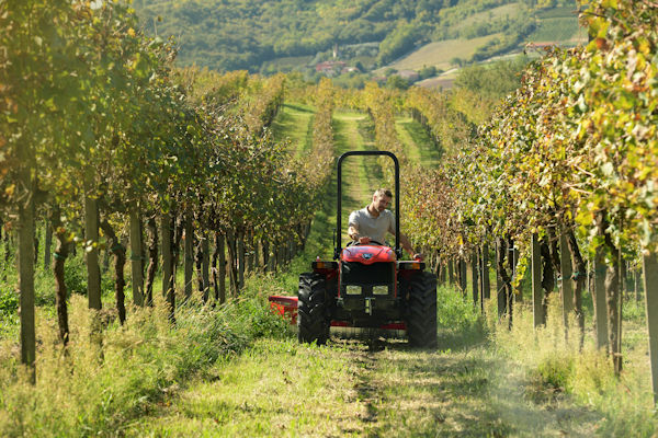 EIMA announcement Traxion 65 70 klein