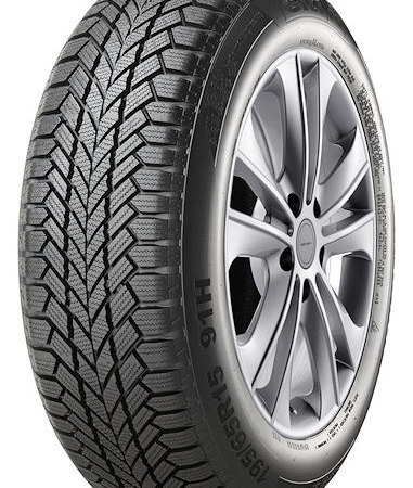 giti tire winterw1