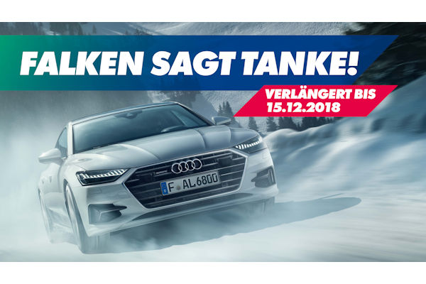 Falken sagt Tanke