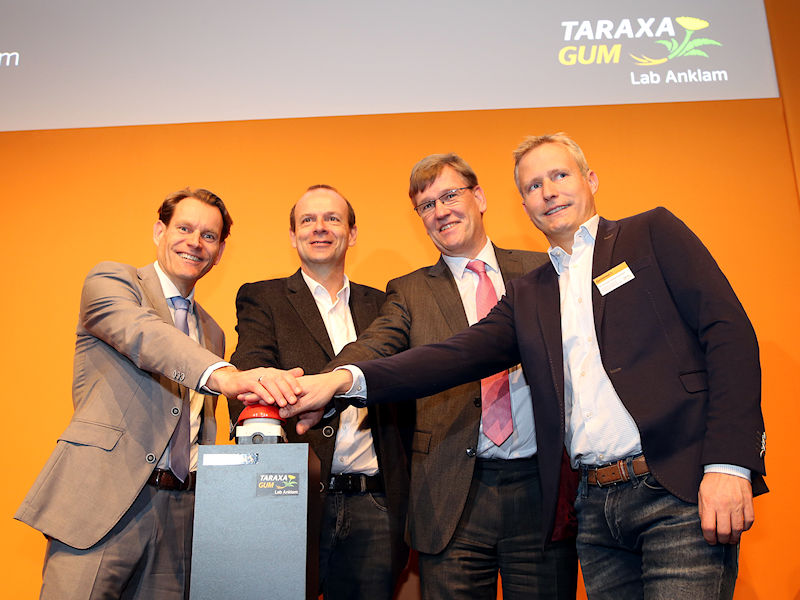 Continental Taraxagum Lab Anklam tb