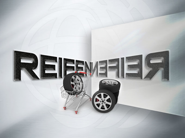 Reifenspiegeln4d tb