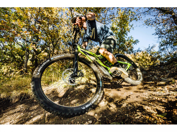 E bike
