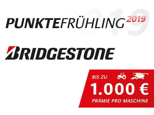Bridgestone Punktefrühling 2019