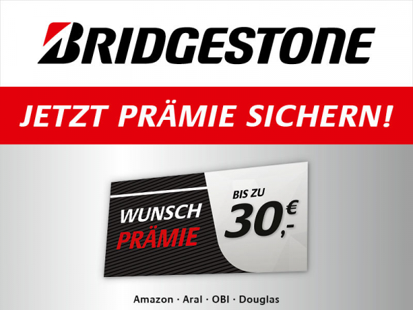 Wolf Bridgestone 002