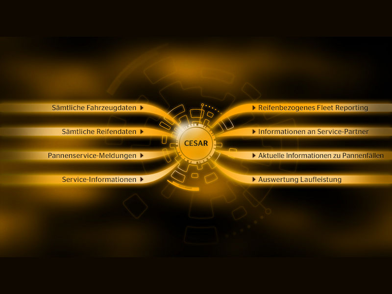 Continental Pema CESAR tb