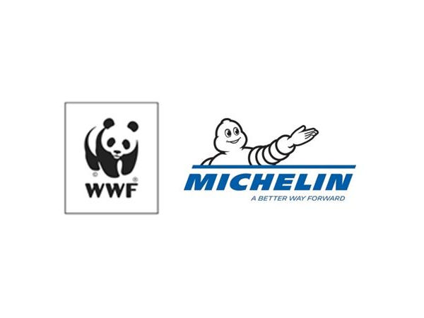Michelin WWF klein