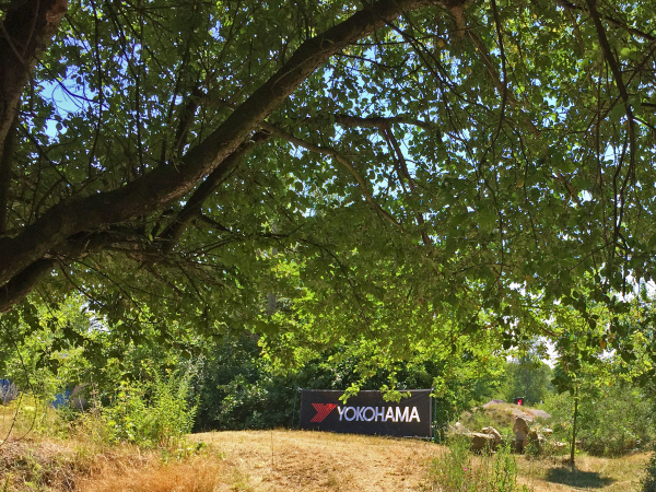 Yokohama Forever Forest