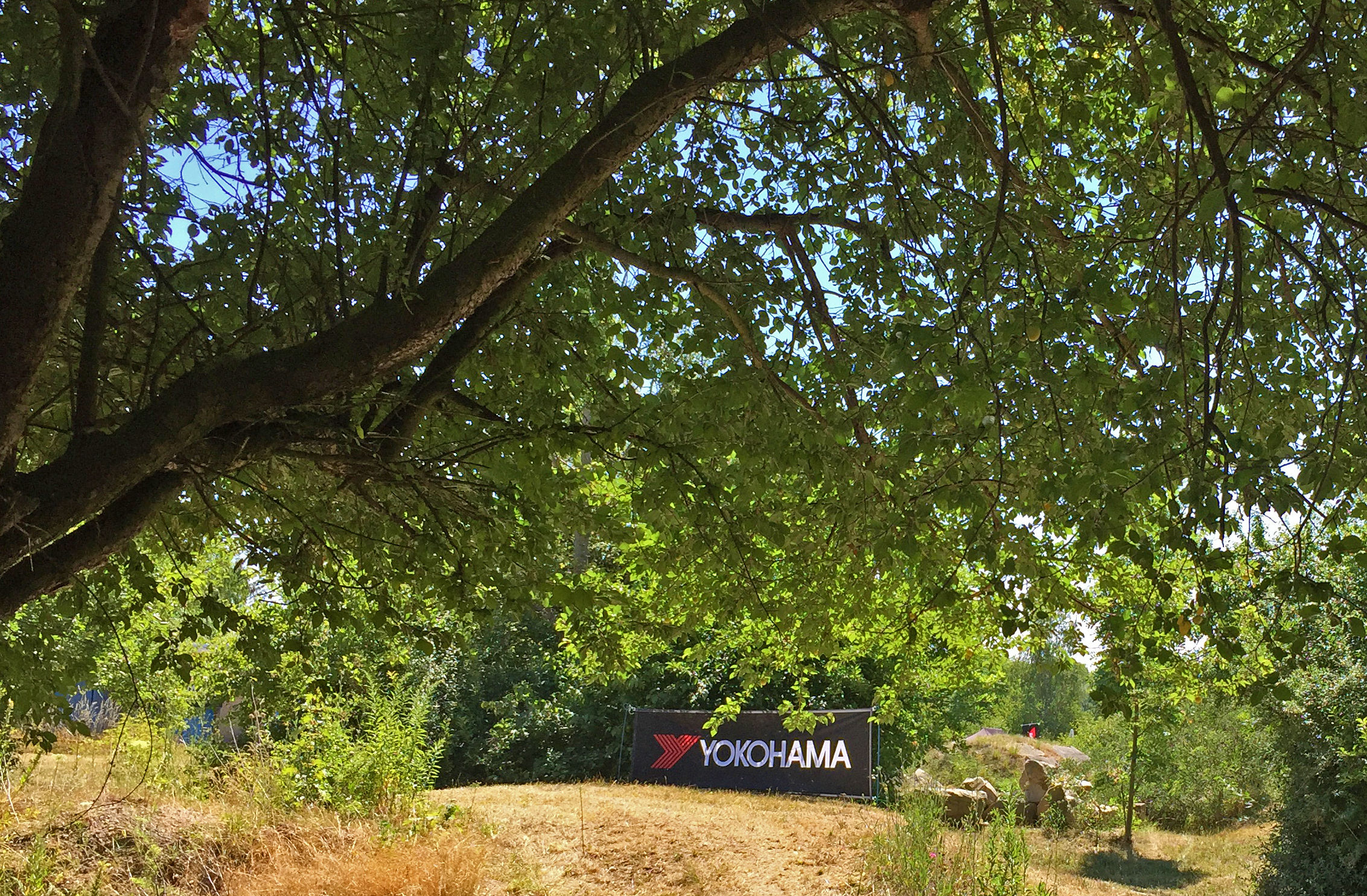 Yokohama Forever Forest