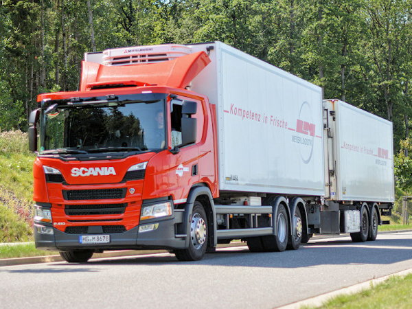 Flotte Ludwig Meyer 3 Original 95397 tb