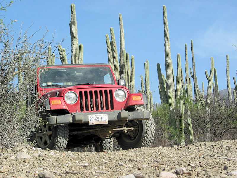 Offroadmarkt 1 tb