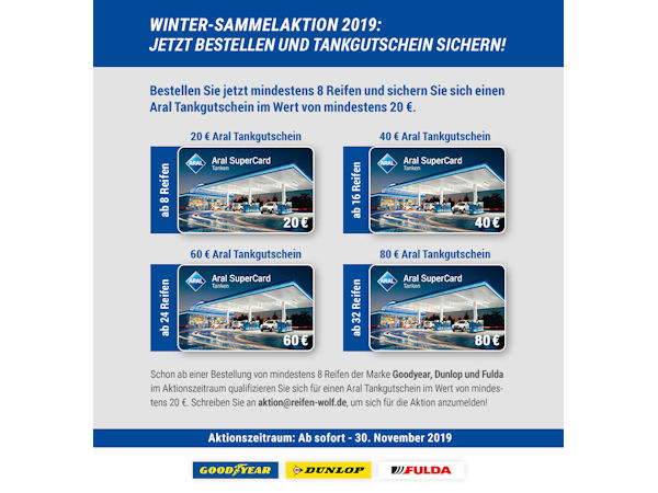 Wolf Winteraktion klein