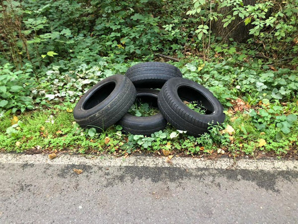 illegale Zare