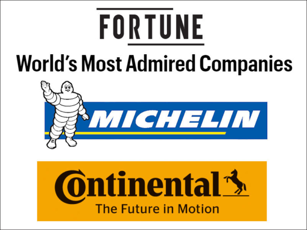 Fortune tb