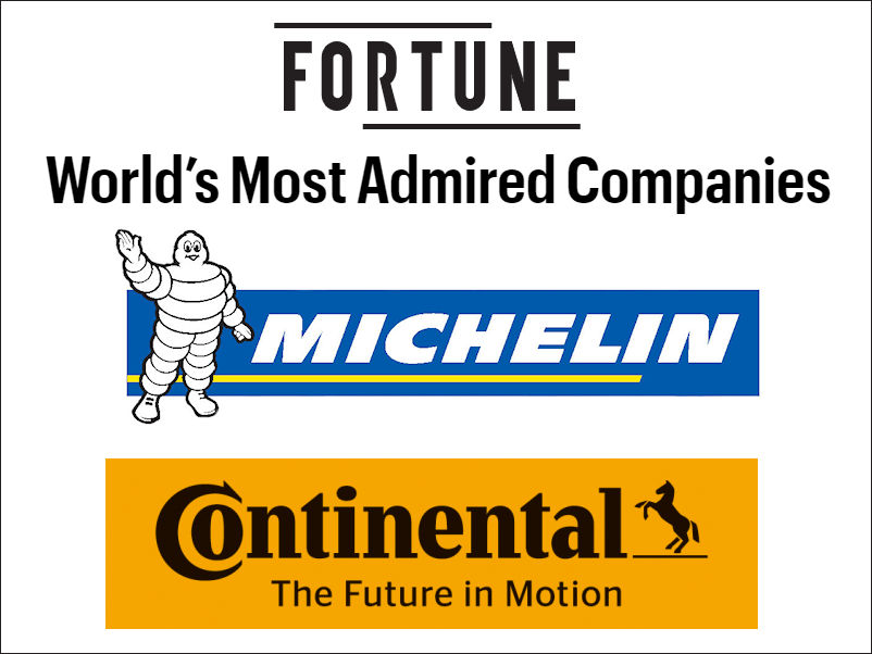 Fortune tb