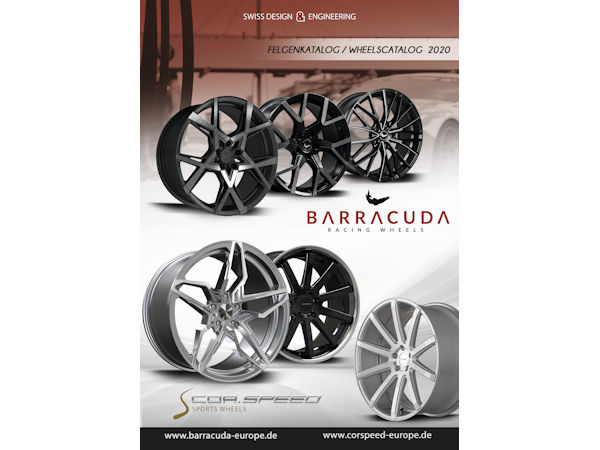Barracuda klein