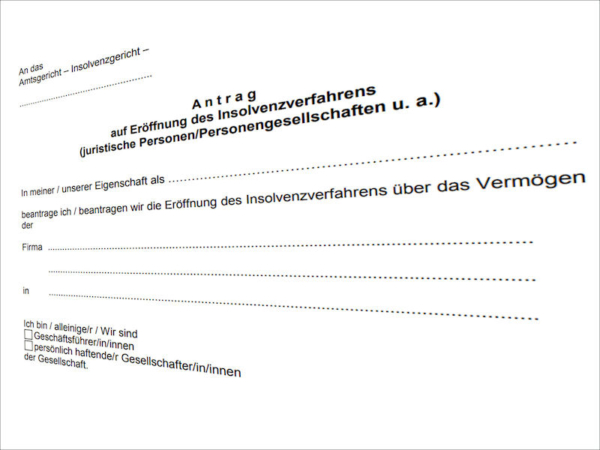 Insolvenzantrag tb 002