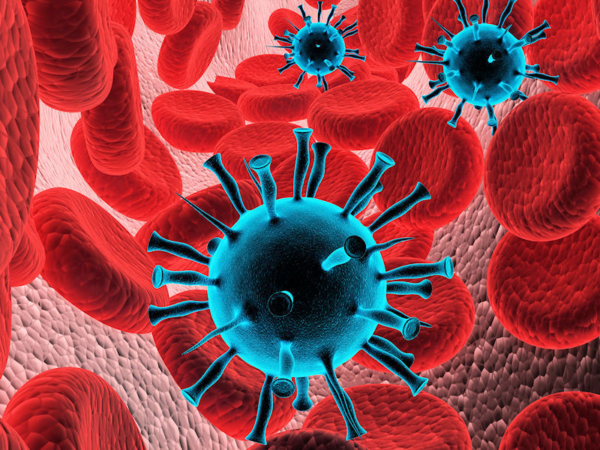 Corona Virus tb