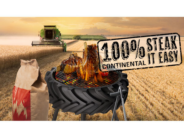 Continental Steak klein