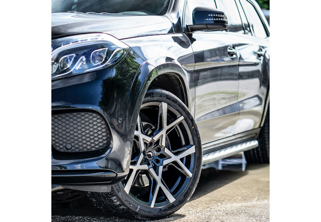 Barracuda1 klein