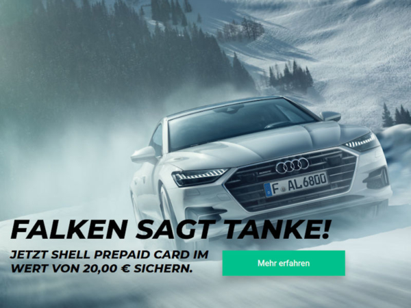 Falken sagt Tanke tb