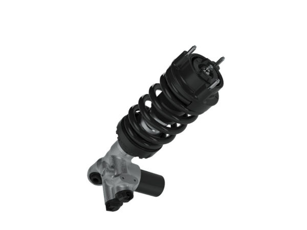 Tenneco klein