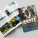 Bohnenkamp Forstkatalog klein