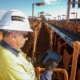 Continental Conveying Solutions tb