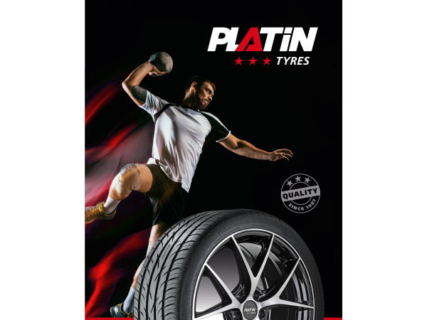 Platin Logo NEU klein