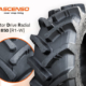 Ascenso Pressebild TDR850 klein