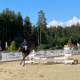 PLW Waldachtal tb