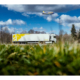 Goodyear Umfrage klein