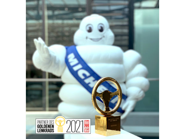 Michelin Bibendum klein