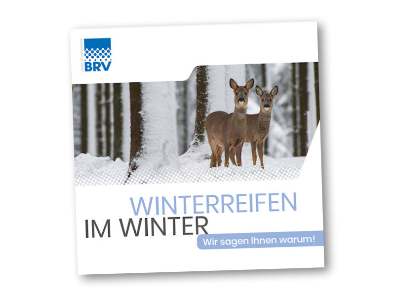 BRV Winterreifen im Winter tb