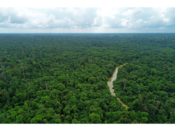 Pirelli Landschaft klein