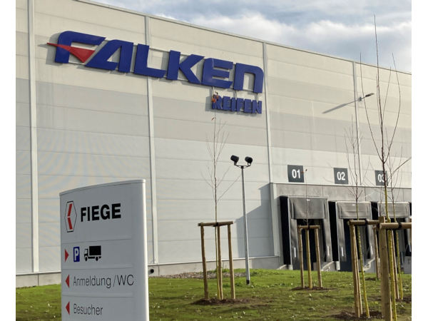 Falken und Fiege