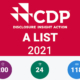 CDP tb