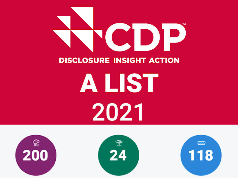 CDP tb