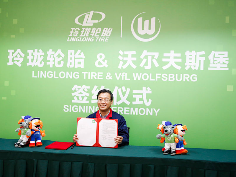Wang Feng tb
