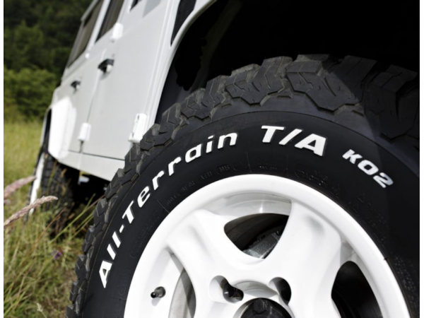 BFGoodrich klein