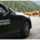 Nokian Tyres