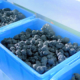 Zhongce Rubber Recyling tb