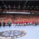 Falken Handball Sponsoring klein