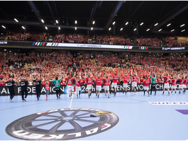Falken Handball Sponsoring klein