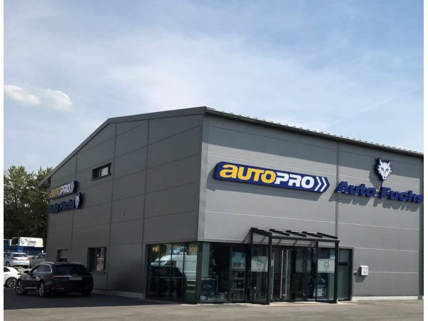 Autofuchs klein