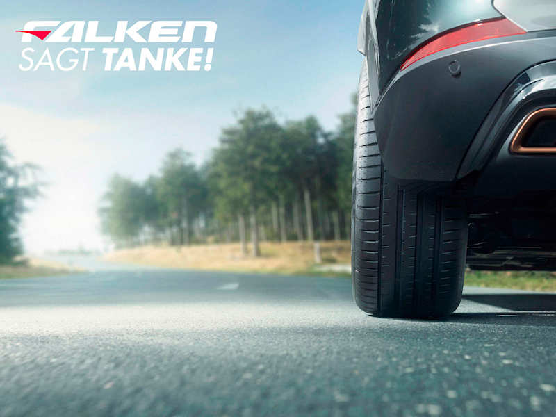 Falken sagt Tanke tb