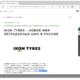 Nach der Übernahme des bisherigen Nokian-Reifenwerkes im russischen St. Petersburg wird der neue Eigner Tatneft dort produzierte Reifen zukünftig nun unter dem Markennamen Ikon Tyres vermarkten (Bild: Screenshot)