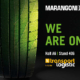 Marangoni Transport Logistic tb