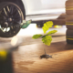 Da Vergölst als Reifen-/Autoserviceanbieter bzw. Mobilitätsdienstleister für Privat- und Firmenkunden aus eigener Sicht zum Klimawandel beiträgt, ist das Unternehmen bemüht, „etwas zurückzugeben und aktiv zur Erhaltung unserer Umwelt beizutragen sowie einen lebenswerten Raum für Tiere und Menschen zu schaffen“ (Bild: Vergölst)